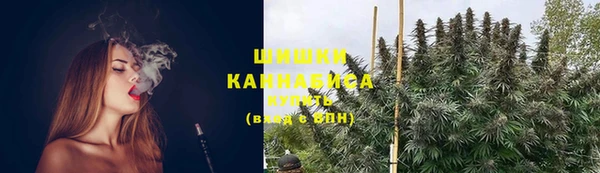 гидропоника Нязепетровск