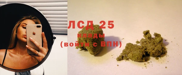 гашик Новодвинск