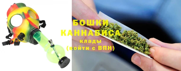 гашик Новодвинск