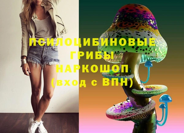гашик Новодвинск
