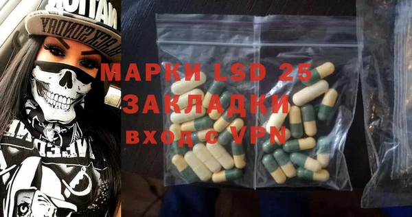 гашик Новодвинск