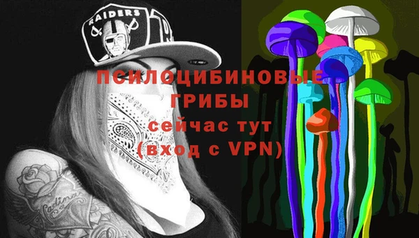бутират Няндома