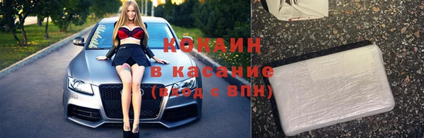 гашик Новодвинск