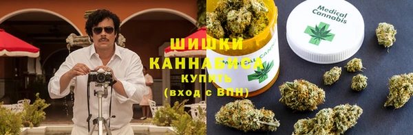 гашик Новодвинск