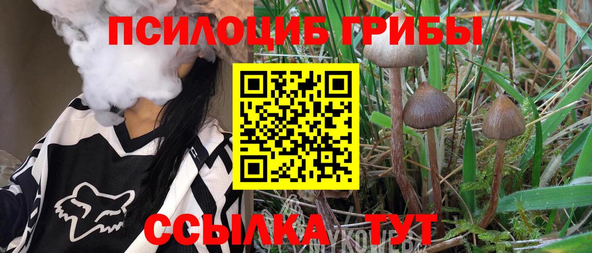 Галлюциногенные грибы мицелий  наркота  Верхняя Салда  Галлюциногенные грибы Psilocybe 