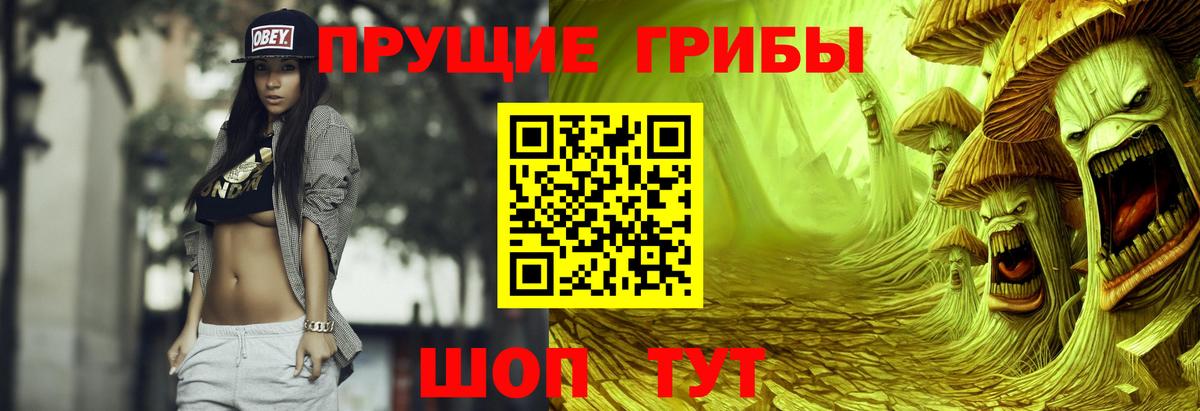 Галлюциногенные грибы мицелий Верхняя Салда