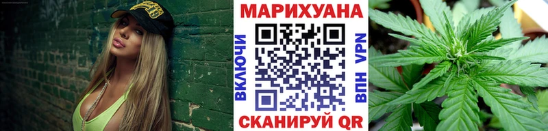 Конопля Bruce Banner  Верхняя Салда 